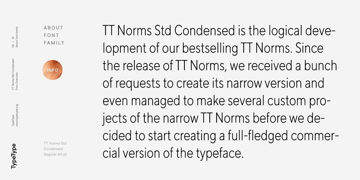 Пример шрифта TT Norms Std Condensed Light Italic